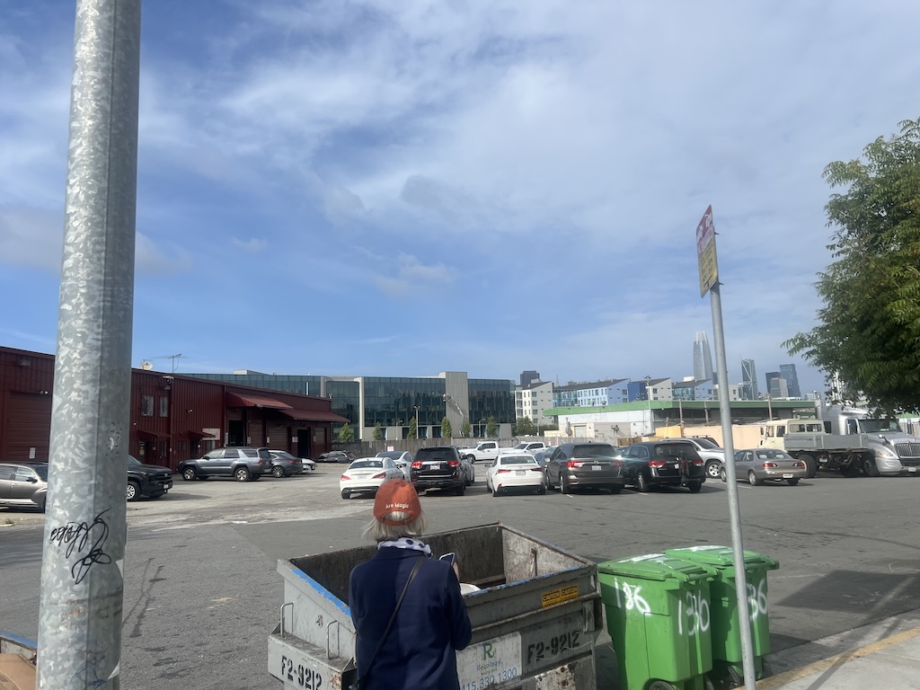 Carolina Triangle site view