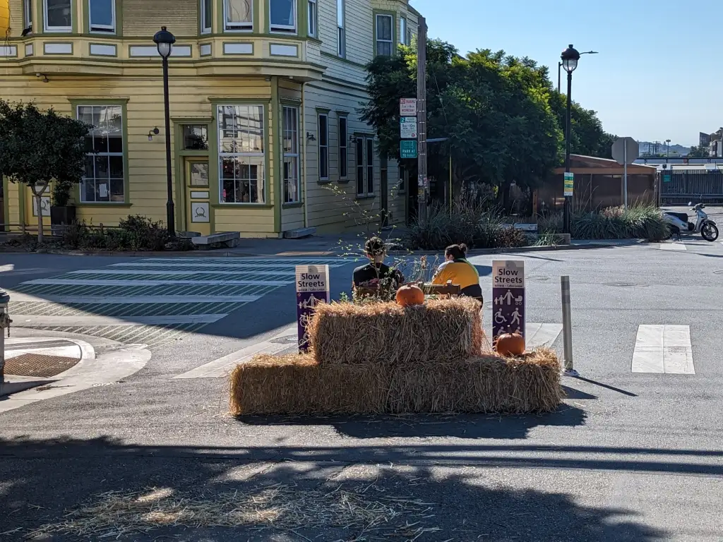 Minnesota Slow Street Greening